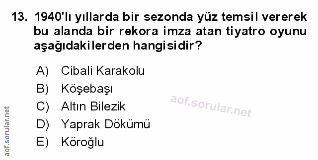 Soru 13
