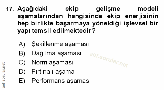 Soru 17