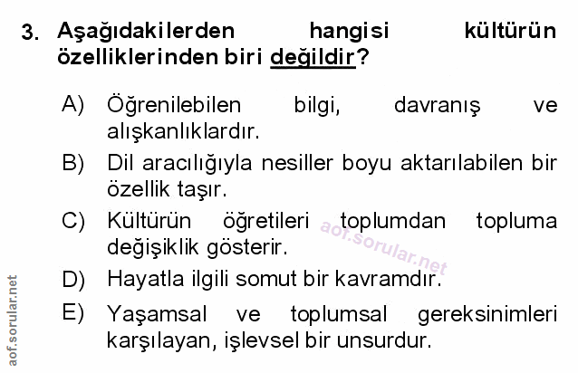 Soru 3