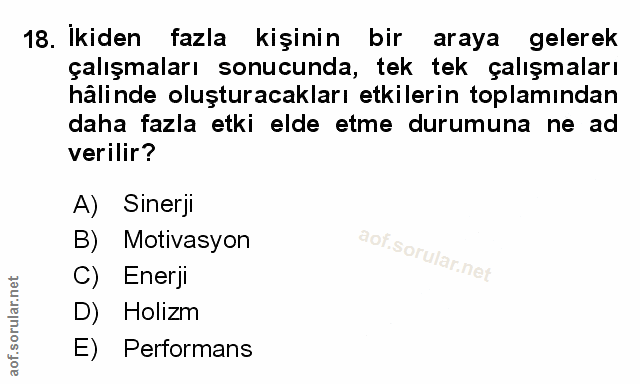 Soru 18