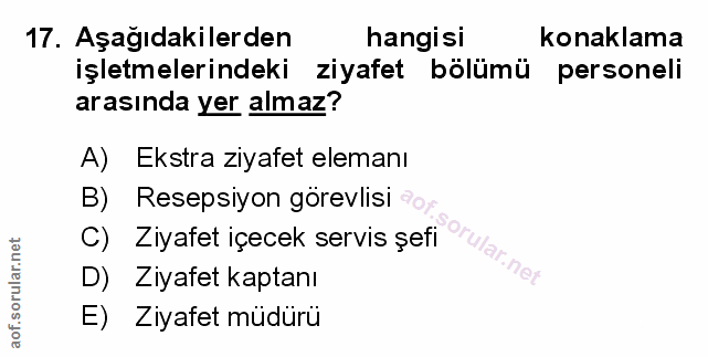 Soru 17