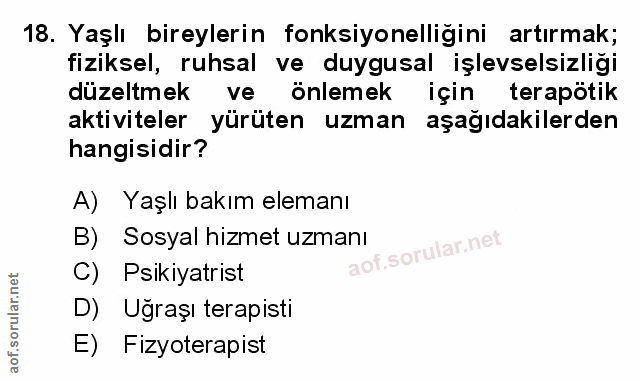 Soru 18