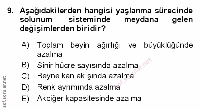Soru 9