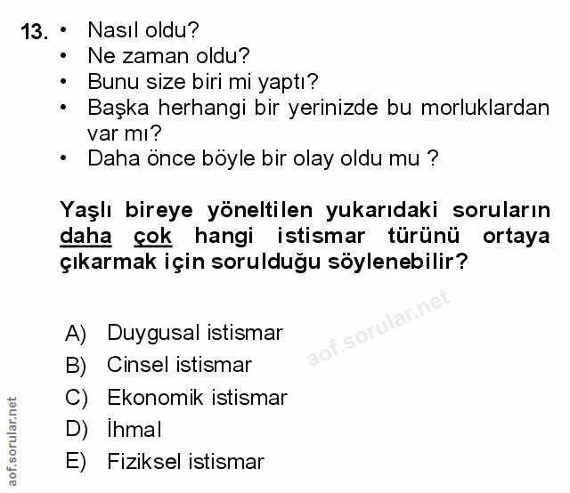 Soru 13
