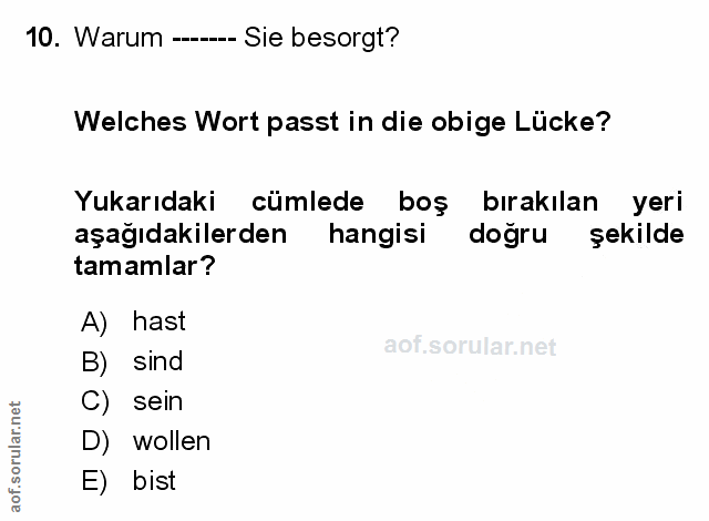 Soru 10