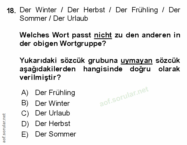 Soru 18