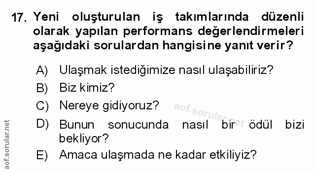 Soru 17
