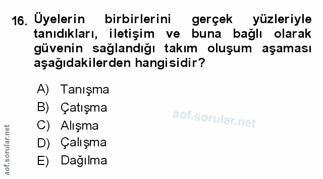Soru 16