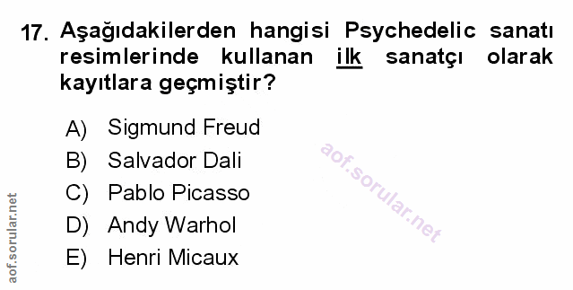 Soru 17
