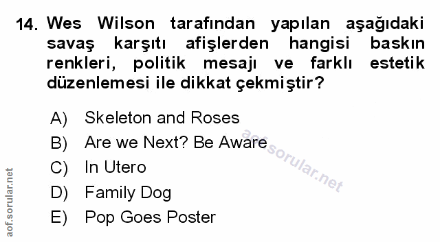 Soru 14