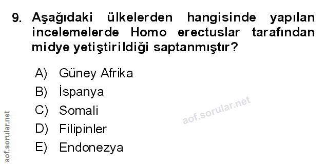 Soru 9