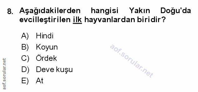 Soru 8