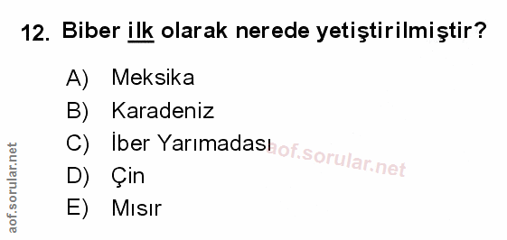 Soru 12