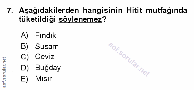 Soru 7