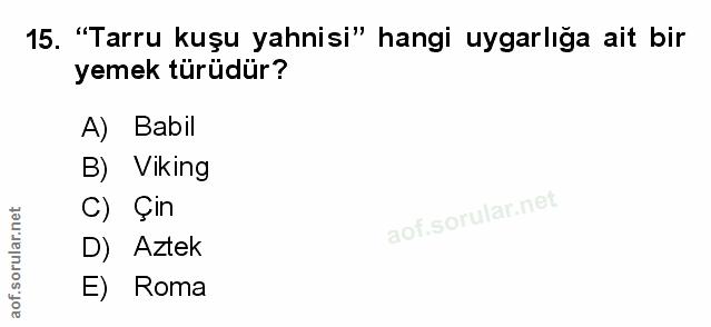 Soru 15