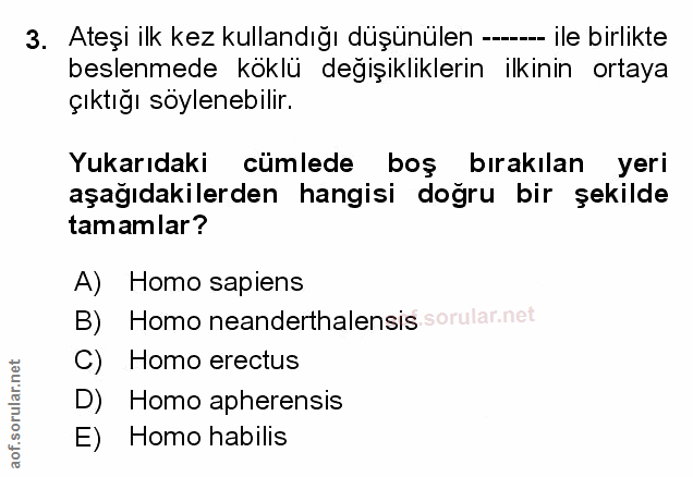 Soru 3