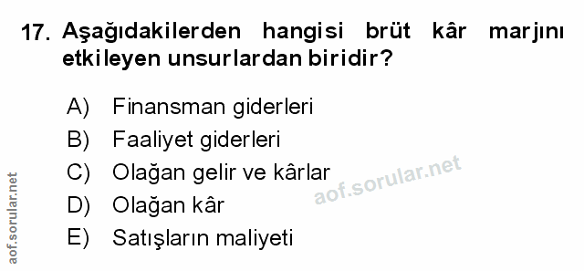 Soru 17