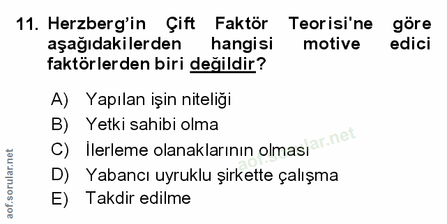 Soru 11