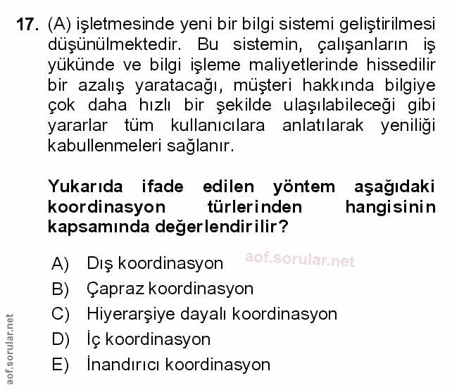Soru 17