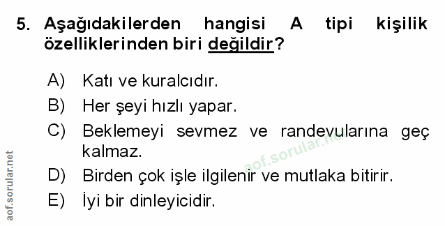 Soru 5