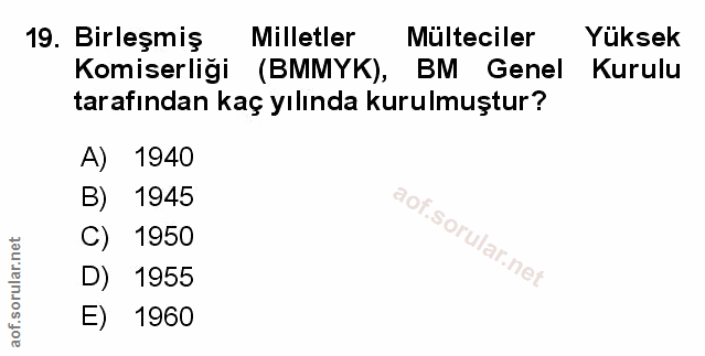Soru 19