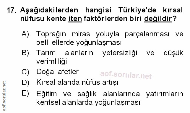 Soru 17