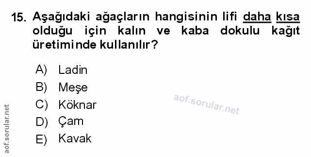 Soru 15