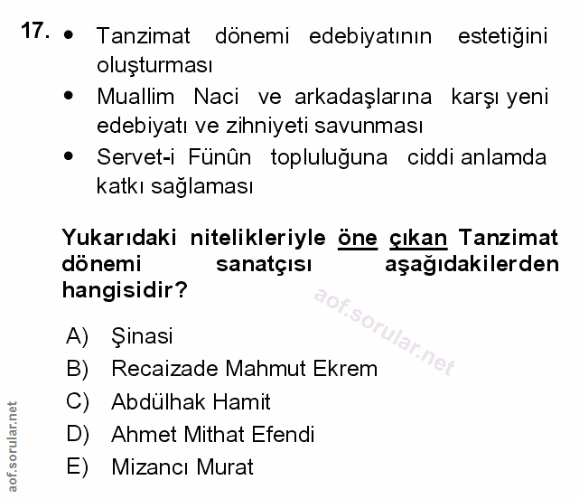 Soru 17