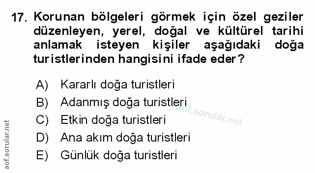 Soru 17