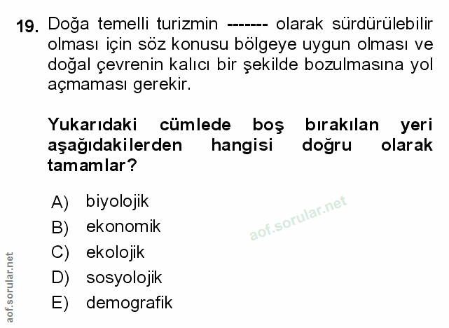 Soru 19