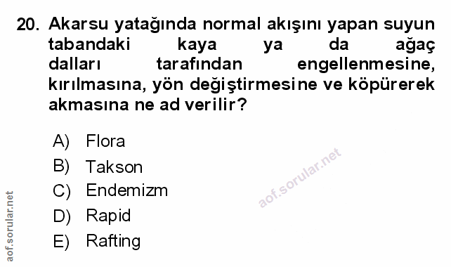 Soru 20
