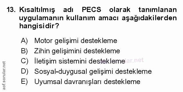 Soru 13