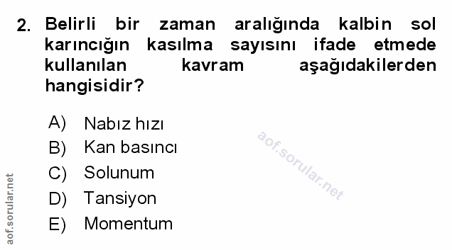 Soru 2