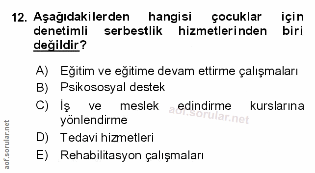 Soru 12