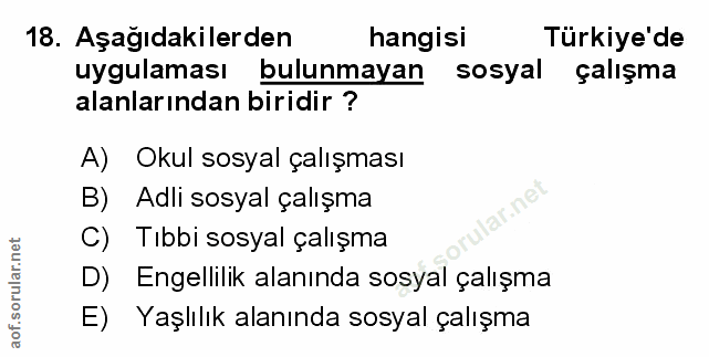 Soru 18