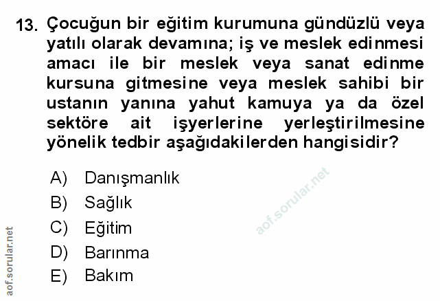 Soru 13