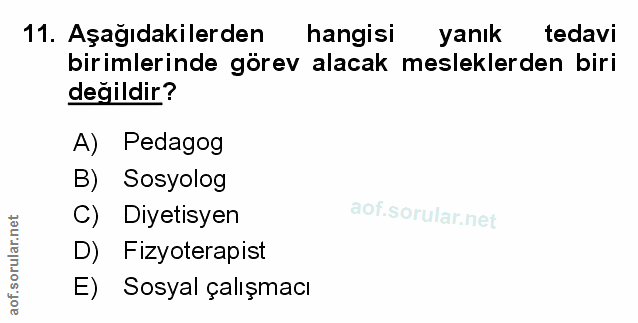 Soru 11