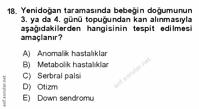 Soru 18