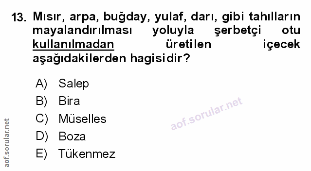 Soru 13