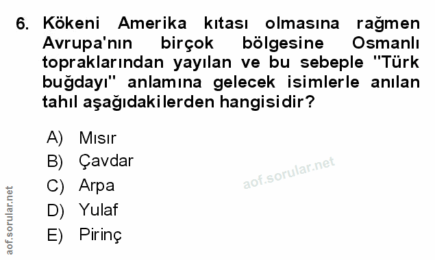 Soru 6