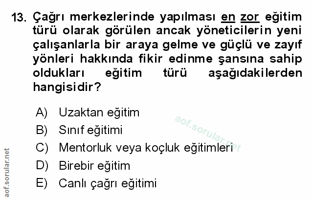 Soru 13