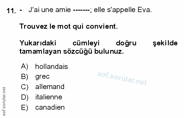 Soru 11