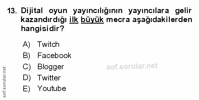 Soru 13