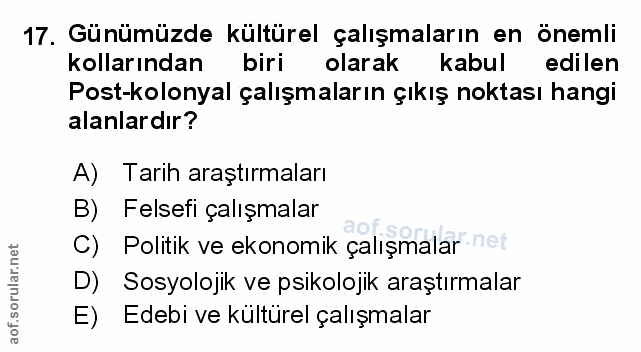 Soru 17