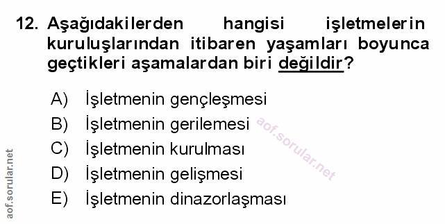Soru 12