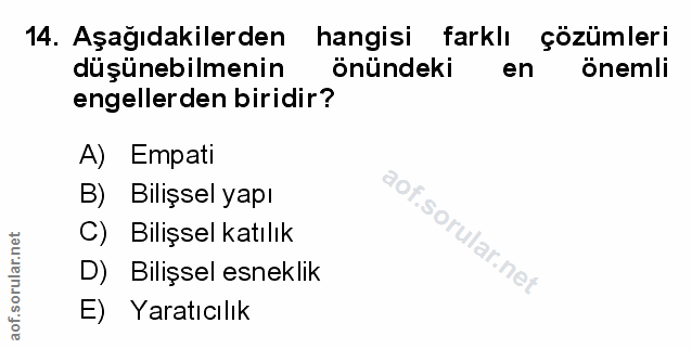 Soru 14