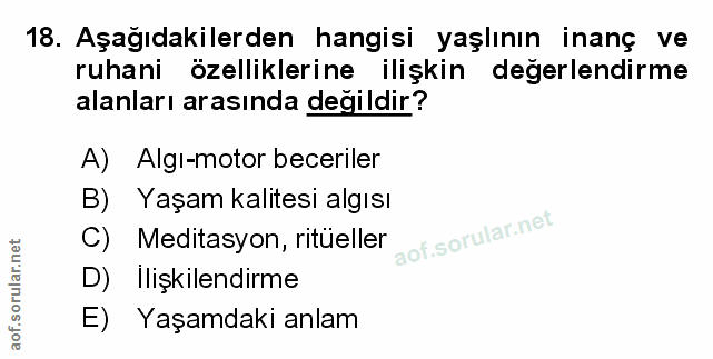 Soru 18