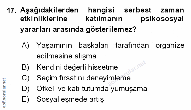 Soru 17