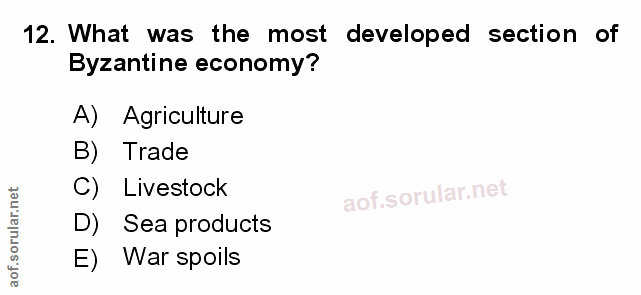 Soru 12