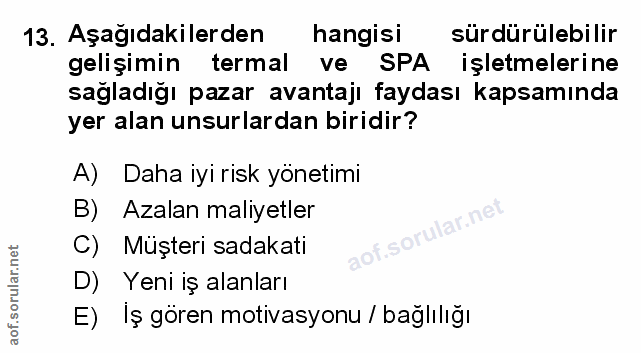 Soru 13